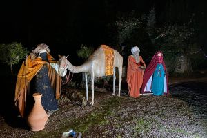Magi and camel on the way to Bethlehem